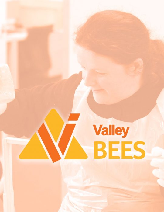 Valley Bees